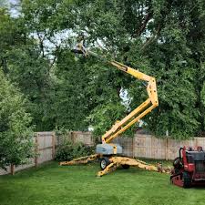 Best Commercial Tree Services  in Hooper, UT