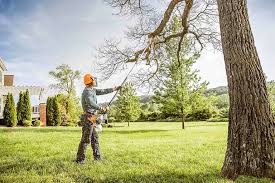Best Root Management and Removal  in Hooper, UT